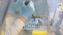 Understanding Developmental Immunotoxicology and the Effects of PFAS