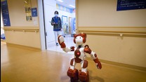 Innovative AI Hospital System - A Strategic Innovation Promotion Program of the Japanese Government