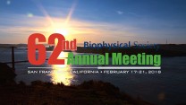 62nd Annual Meeting of the Biophysical Society Preview