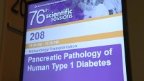 Pancreatic Pathology of Human Type 1 Diabetes Session
