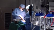 Liver Transplant Patients - A Focus on Care